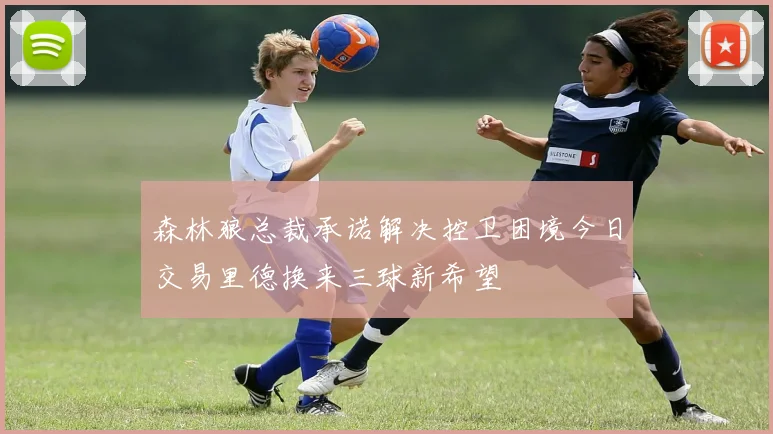 森林狼总裁承诺解决控卫困境今日交易里德换来三球新希望