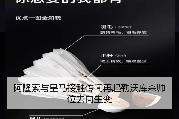 阿隆索与皇马接触传闻再起勒沃库森帅位去向生变